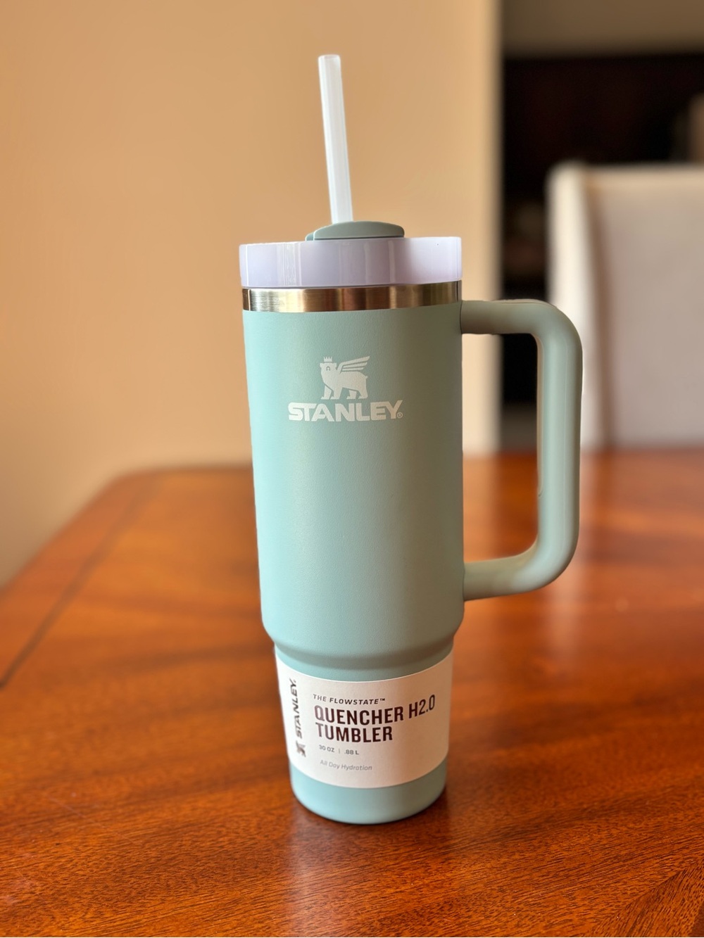 Stanley Seafoam Green Quencher H2.0 Tumbler with Handle and Straw 30 Oz